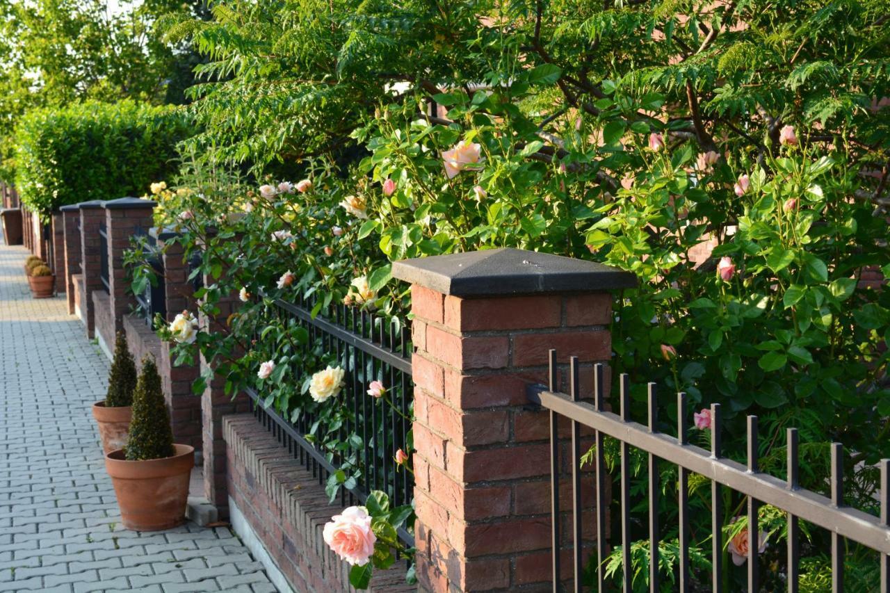 Rose House * Praga