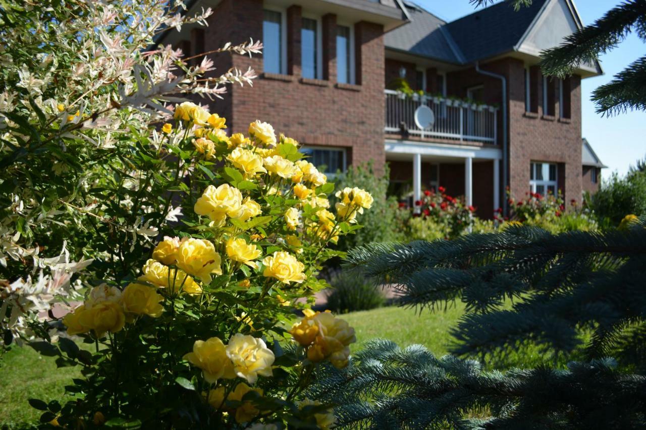 Affittacamere Rose House *