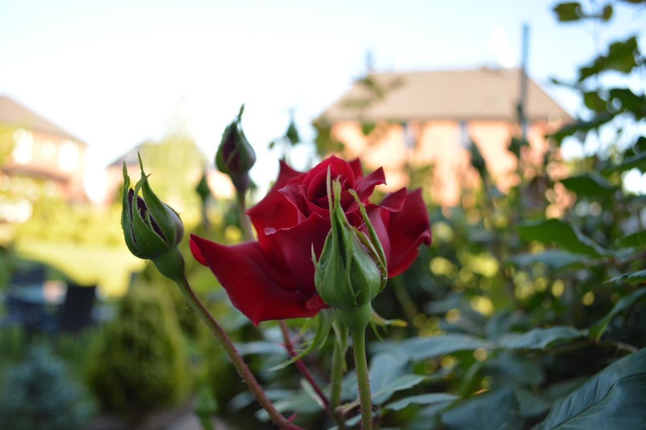 Rose House